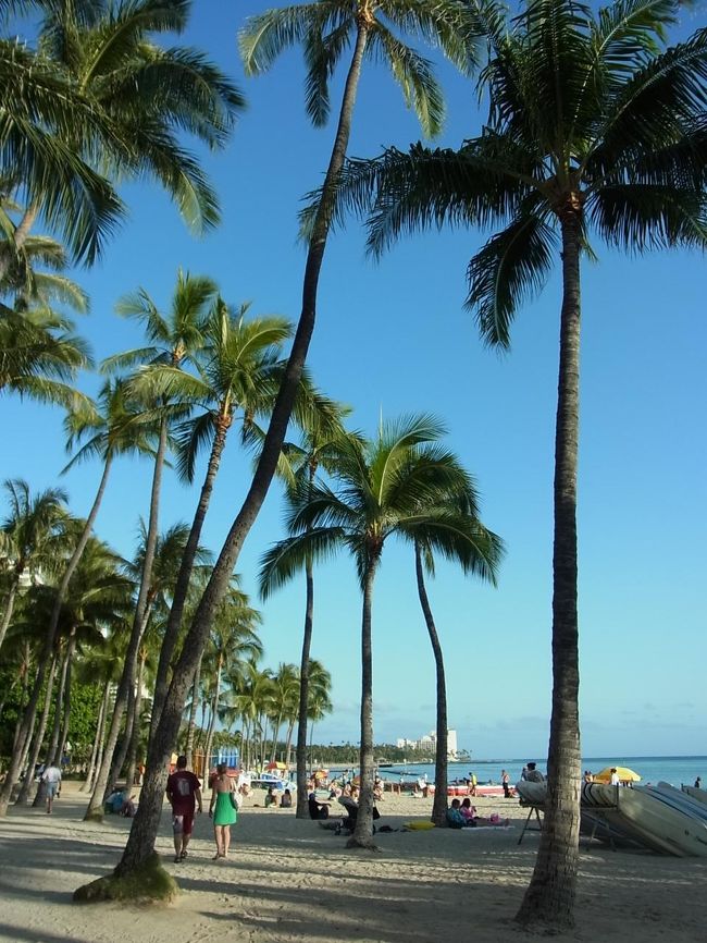 ビーチに出てみるとこの景色。<br />あ〜、心が洗われる。