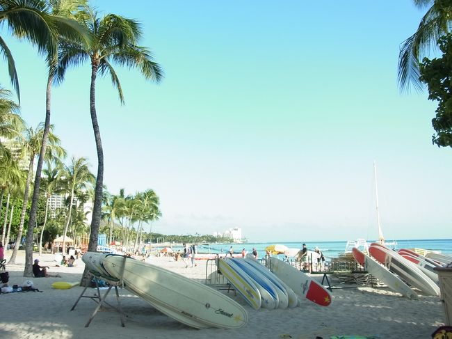 サーフボードとヤシの木と海と空。<br /><br />絵になります。