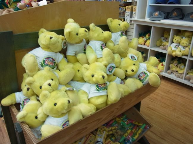 なぜか黄色いクマを激写してしまった。ここの中にある、ハワイアンキルトのお店が安くておすすめ！　母はこの旅2枚目のキルトを購入。