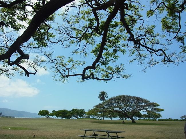 こちらは、ウミガメが見られる「かも」しれない、というノースショアの「ラニアケア・ビーチ」。ハレイワから10分くらいです。