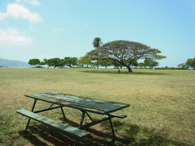 こちらも絵になる場所です。木陰が気持ちよさそう。