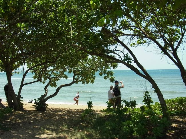 残念ながら、カメさんは沖のほうへと泳いで行ってしまいました。姿は見られなかったけど、ここは心休まる素敵な場所。ここでランチもいいですね♪