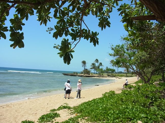 カメさんを見逃した観光客が、ぷらぷらと散策。