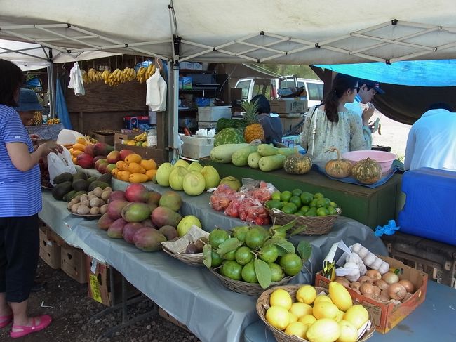 フルーツスタンドに立ち寄りました。パパイヤにマンゴスチン、ライチと、南国のフルーツがたくさん！