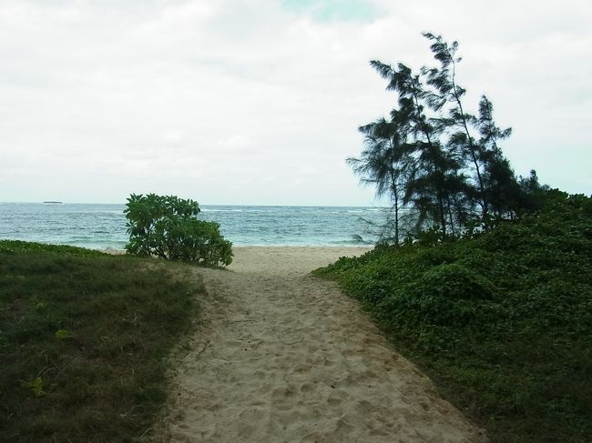途中、天気が崩れかけましたが、ぎりぎり最後まで持ちました♪<br /><br />このほか、「トロピカル・ファーム」というマカダミアナッツのお店にも行きました。数種類のフレーバーのナッツを販売していて、ナッツ好きとしては興奮するショップでした。ここでたっぷりとマカダミアナッツを購入！