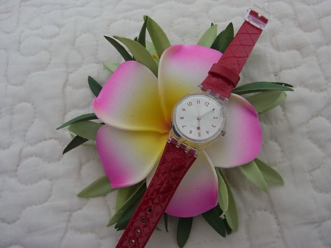 わー、調子に乗ってUGGの隣にあるスウォッチで新作を買ってしまった。60ドルくらい。バンドの赤がかわいいのです。店員さんもお話じょうずで、ついつい・・・。