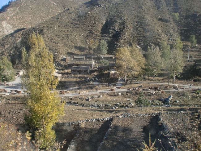 五台山から懸空寺へ移動中のバスからの写真です。大変でしょうが、守って頂きたい生活文化です。