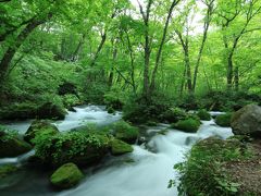 阿修羅の流れ付近で撮影