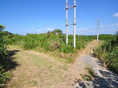 右の道が島の真ん中を行って島仲浜へ向かう道。
左へ向かい、屋良浜目指します。