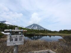 田代高原でお弁当を食べたあとは睡蓮沼へ