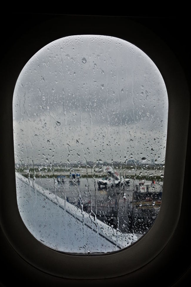 10時前にスルタンアフメットを出、<br />またまたトラムとメトロで空港へ戻ります。<br />イスタンブール空港のイミグレは長蛇の列。<br />早めに空港へ戻って正解でした。<br />12:25発のワルシャワ行きへ乗り込むと、大雨が降ってきました。<br /><br />ワルシャワ編へ続く