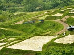 棚田の風景