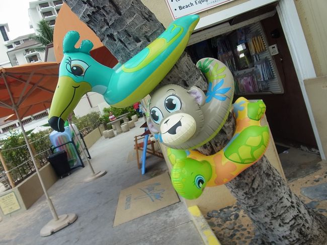 あはは！　かわいい浮輪たち。