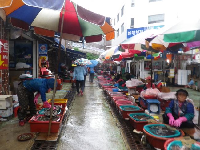 海岸沿いの道路から市場内に入りました、市場内多くのお店が並んでいます