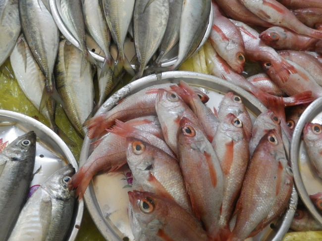 市場内に魚が並んでいます