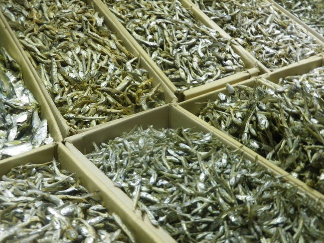 市場内に魚が並んでいます