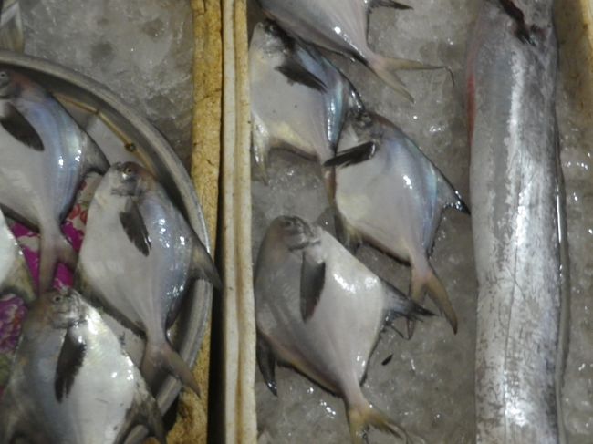 市場内に魚が並んでいます