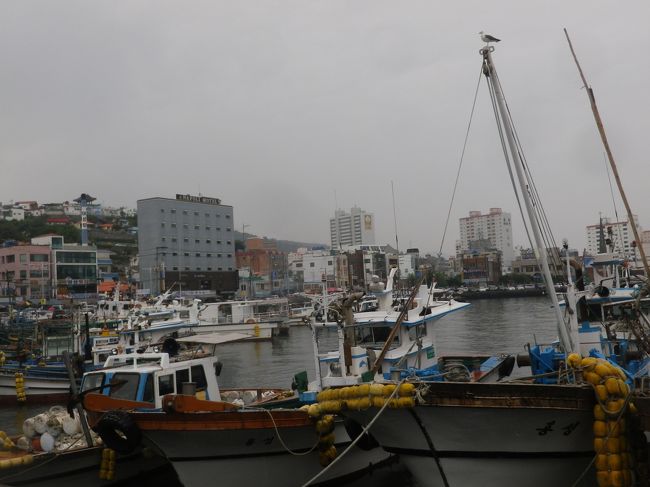 港に漁船が並んでいます