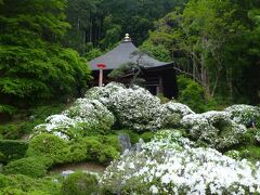瑞竜山　法雲寺(札所三十番) 
白い花はツツジです。
なかなか見事でした。