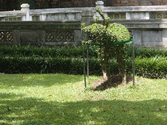 植木が干支の形で並んでいます。<br /><br />日本とは微妙に違いまして・・・<br /><br />牛が水牛<br />ウサギが猫<br />イノシシが豚<br /><br />あ、あと羊が山羊だったような？？<br />