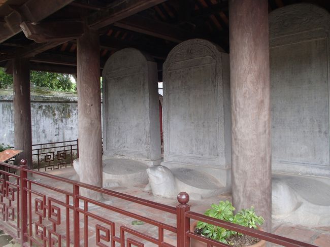 可愛い♪<br /><br /><br />亀って言うよりもオットセイに近い？？