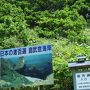 ウニとラベンダーの季節到来！北海道初夏の旅　①積丹ブルーとウニづくし