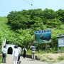 ウニとラベンダーの季節到来！北海道初夏の旅　①積丹ブルーとウニづくし