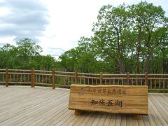 知床五湖は遊歩道が整備されています。