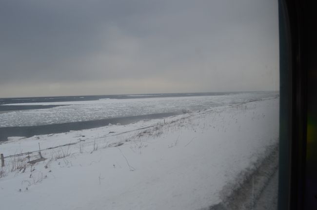 流氷を見ることができました。<br />３月になると、流氷は沖に離れてしまう事が多くなるそうですので、この日はラッキーです。
