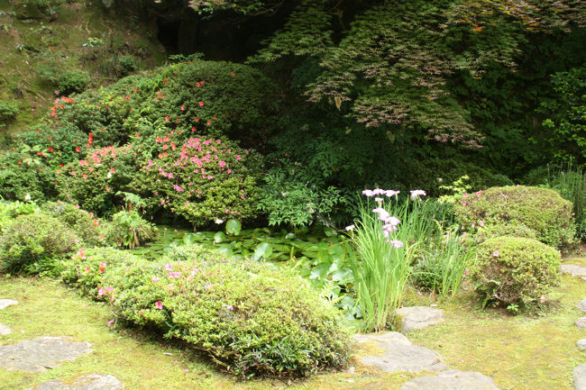 C146180175大安禅寺　庭園
