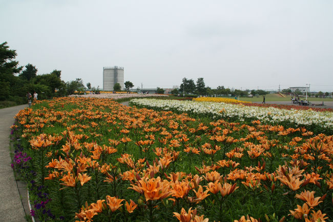 ゆりの里公園