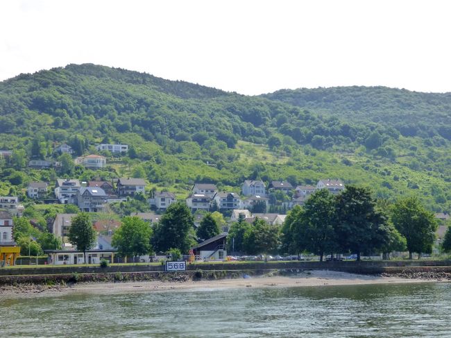 　のどかでございます。ようやくさっきから1km遡ったというわけです。多分45km位の行程を4時間ですから、時速10km位で遡るのでしょうか。