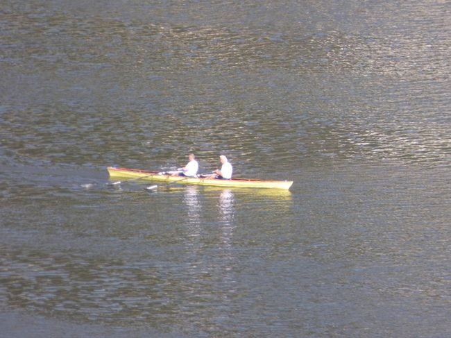 　お見かけするところ、結構お年の方のようですが、頑張りますねぇ。