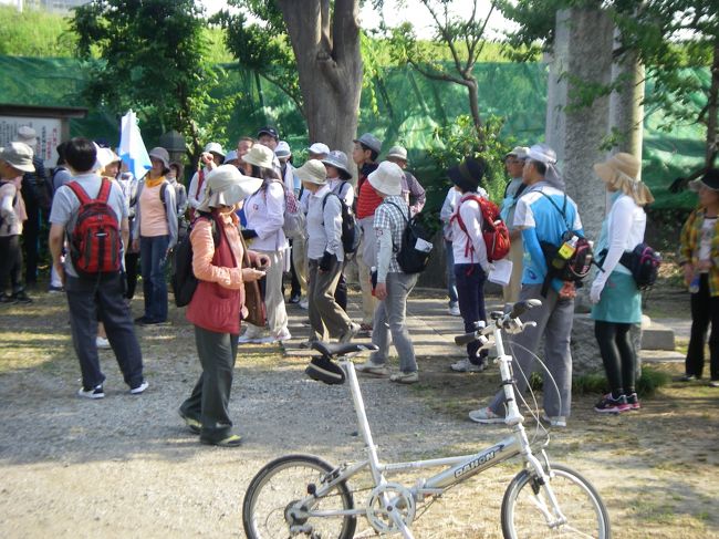 ウォーキングの団体さんと出会いました。阪急トラピックスの企画で（何回かに分けて）歩いて「京都三条」までのツアーとのことです。