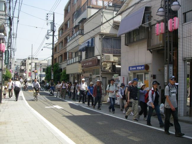 少し北へ進んだ時に、大勢のウォーキングの方々とすれ違いました。