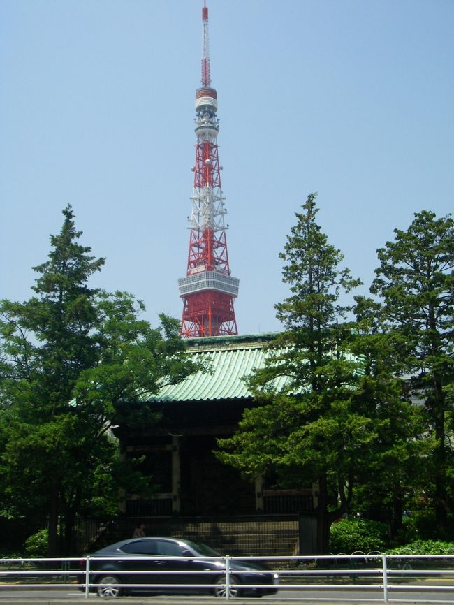 また外れて、芝増上寺前に来ました。