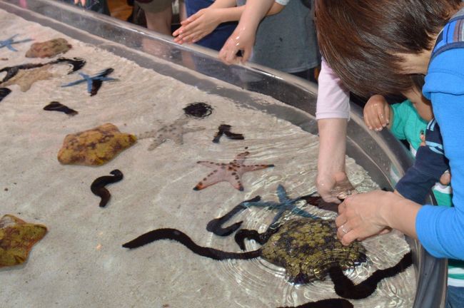 大人も子供も・・・。