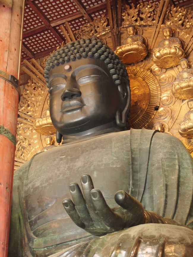 更にズーム。<br /><br />いろいろ達観した表情ですよね。