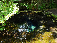 降り立った膳棚バス停は、忍野八海にほど近いところだった。
さすがに有名な観光地だけあり、人も多かった。
とりあえず、忍野八海の中心部へ向けて歩いていくことにする。
その途中、最初に現れたのは、忍野八海で最も小さいお釜池。
澄んだ水が湧き出ていて、小さくてもとても綺麗な池だった。