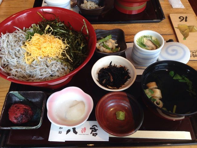 少し早めにランチ。<br />しらす丼にしました。