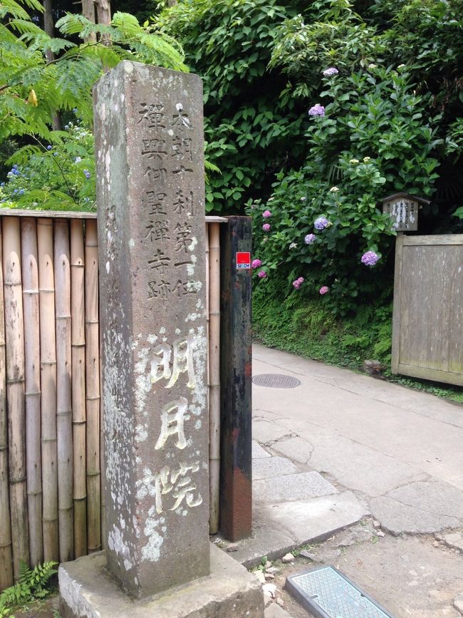 明月院到着です！<br />入場料は通常300円ですが、この時期は500円になっています。