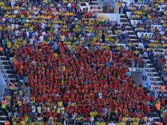 スタジアム内は、韓国の団体だけが真っ赤に染まっています。

目立つ......。すごい....目立っている......。


本来は、ベルギーも韓国もチームカラーは赤。