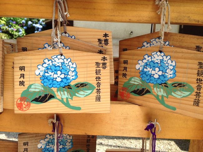 絵馬もあじさい☆