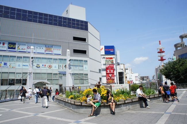 久里浜から横須賀市内 くりはま花の国はポピー祭り 横須賀のグルメもいけてます 横須賀 神奈川県 の旅行記 ブログ By たびたびさん フォートラベル 久里浜から横須賀市内 くりはま花の国はポピー祭り 横須賀のグルメもいけてます 横須賀 神奈川県 の旅行記 ブログ By たびたびさん フォートラベル