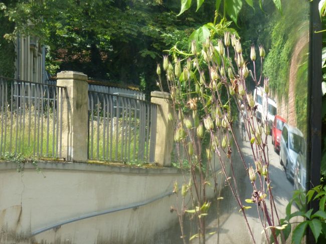 　曲がり角なんでカーブイラーがあります。私の好きなカーブミラー。