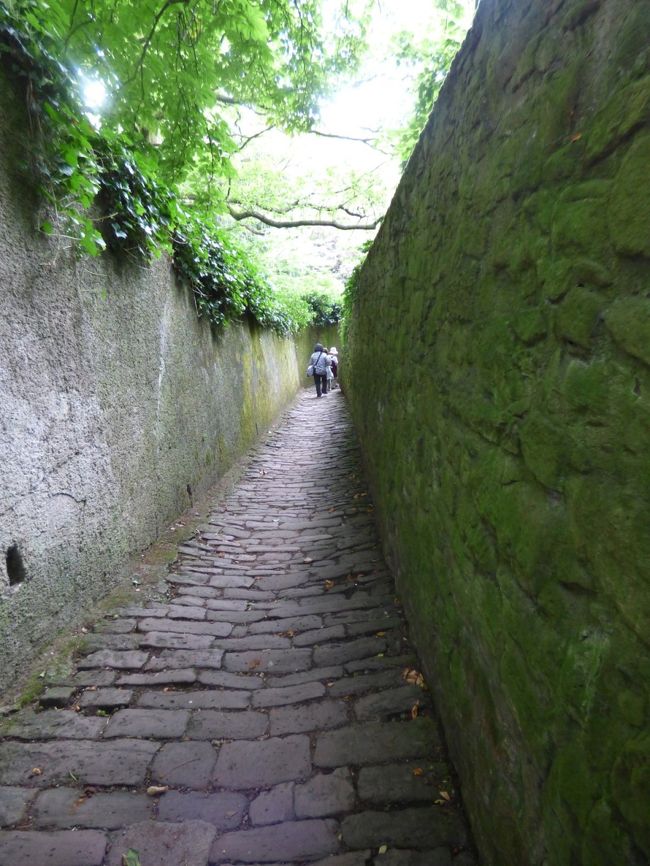 　ほぉ〜、良い雰囲気だなぁ、来てよかったかもなぁ。