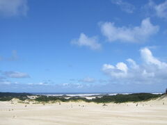 11/11 (Day2) 　ヘンティ砂丘（ Henty Sand Dunes）

西海岸のマッコーリー港（Macquarie Harbour）に面した漁村ストローン（Strahan）郊外にある、タスマニアで最も大きな砂丘。斜面をのぼりきると、海が見えます♪