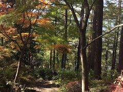 山道、真っ赤じゃないけど、色づいてます