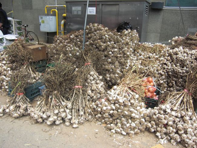 観光？後は、伯母が漢方？韓方？を買いたい！！と言い出し<br />ソウルに住む知人に教えてもらって祭基洞駅（１２５）に行ったのはいいが<br />猛烈な漢方？韓方？のニオイに耐えられず数分で何も買わず退散（笑）<br /><br /><br />でも、ここまできて何もせずに帰るのは切ないので<br />片言の英語でコーヒーショップでお茶タイム♪<br /><br />が、のちにゲリラ豪雨に遭遇(T_T)