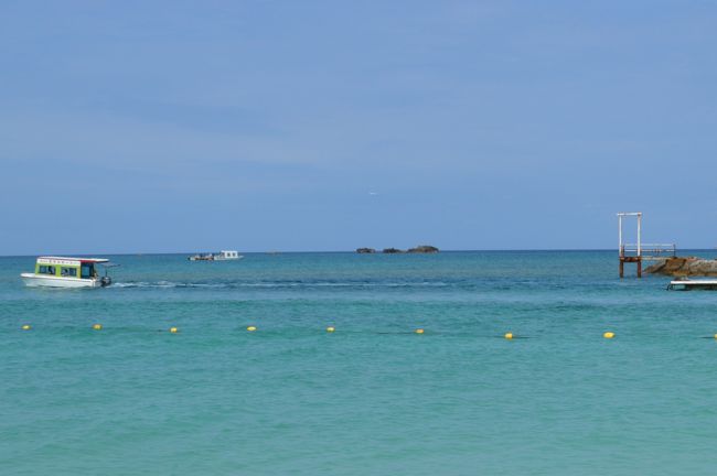 桟橋から観光船があります。